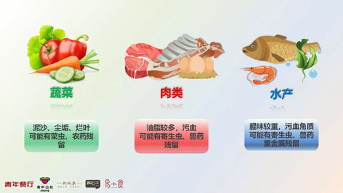 餐飲服務食品安全操作規范（2018版）培訓課件