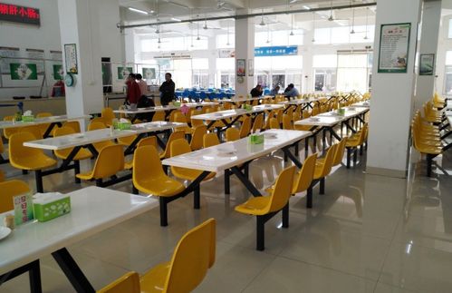 龍巖市23家企業食堂榮獲餐飲服務食品安全示范單位稱號